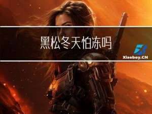 黑松冬天怕冻吗
