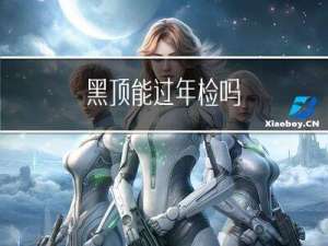 黑顶能过年检吗