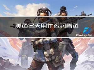 黑鱼冬天用什么钓青鱼
