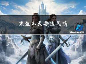 黑鱼冬天要透气吗
