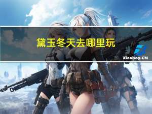 黛玉冬天去哪里玩