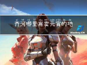 齐河哪里有卖元宵的地方
