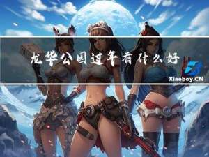 龙华公园过年有什么好玩的