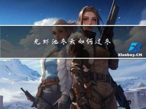 龙虾池冬天如何过冬