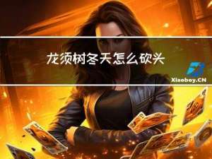 龙须树冬天怎么砍头