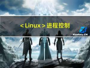 ＜Linux＞进程控制