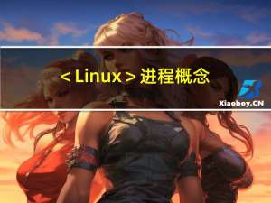 ＜Linux＞进程概念