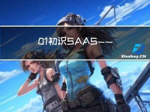 01初识SAAS——《SAAS入门系列》