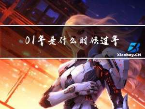 01年是什么时候过年呀