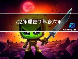 02年属蛇今年多大年龄了