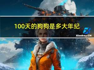 100天的狗狗是多大年纪