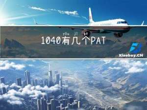 1040 有几个PAT