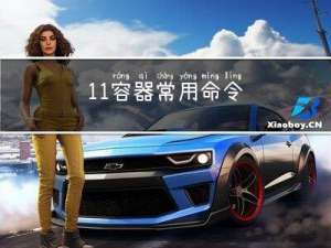 11 容器常用命令