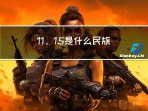 11.15是什么民族过年