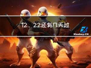 12.22还有几天过年
