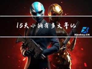 15天小狗有多大年纪