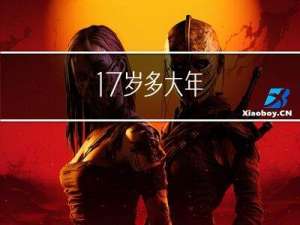 17岁多大年