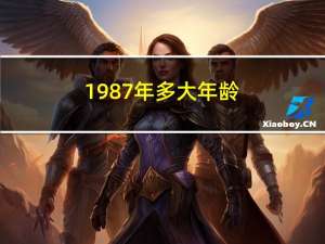 1987年多大年龄