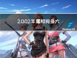 2002年属相狗多大年龄