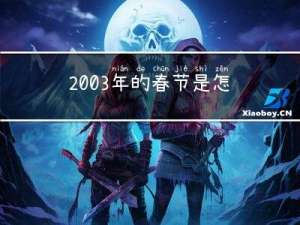 2003年的春节是怎样