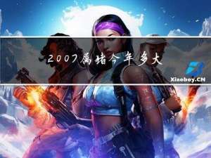 2007属猪今年多大年纪