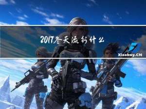 2017冬天流行什么衣服