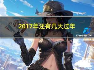 2017年还有几天过年