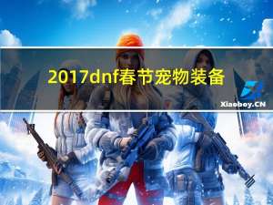 2017dnf春节宠物装备