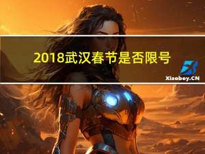 2018武汉春节是否限号