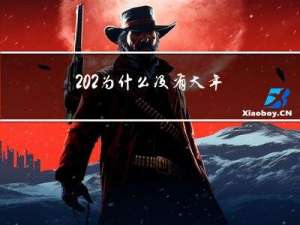 202为什么没有大年三十