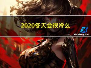2020冬天会很冷么