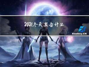 2021冬天要备什么