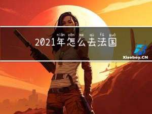 2021年怎么去法国拜年