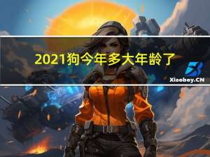 2021狗今年多大年龄了