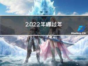 2022年哪过年