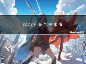 2022年春节哪里有烟花