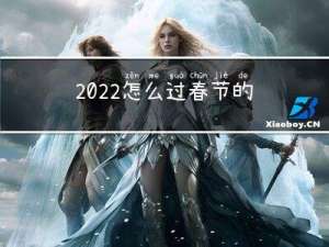 2022怎么过春节的作文