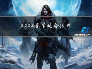 2022春节晚会张也和谁