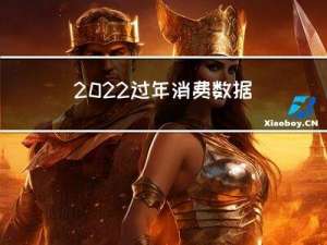 2022过年消费数据分析