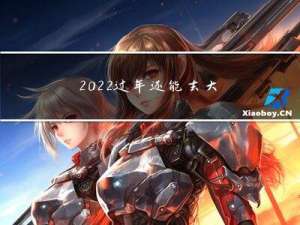 2022过年还能去大连吗