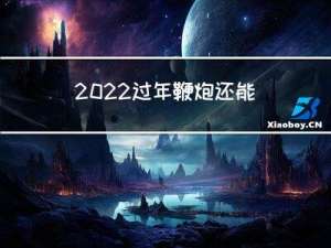 2022过年鞭炮还能放吗