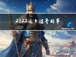 2022返乡过年的事例