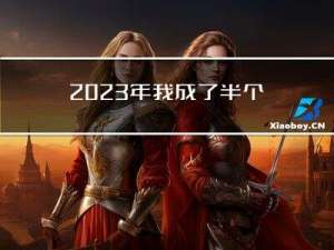 2023年：我成了半个外包