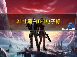 2.1寸黑白TFT电子标签【基站版】