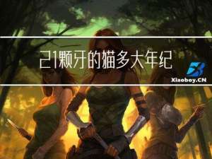 21颗牙的猫多大年纪