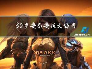 30岁要不要找大公司拜年