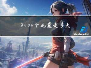 3000个毛囊是多大年纪