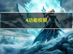 4.功能权限