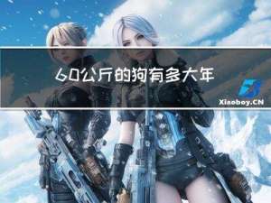 60公斤的狗有多大年纪