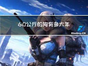60公斤的狗有多大年龄